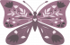 pinkbut-farver.png
